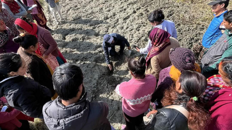 बेनीमा माटोको गुणस्तरमा ह्रास