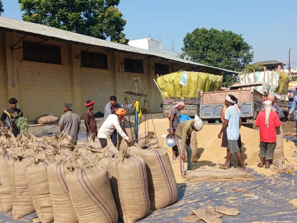 किसानद्वारा ११ करोडको धान बिक्री