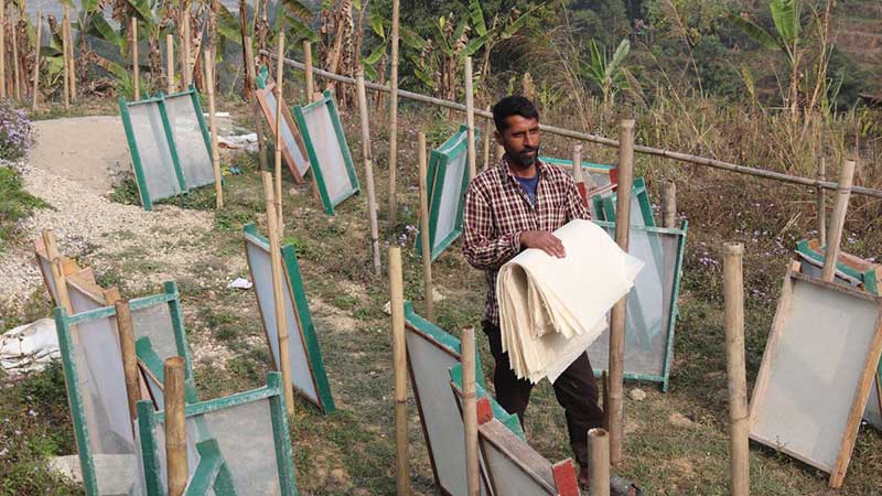 इन्टरनेटमा हेरेरै केराको खम्बाबाट कागज उत्पादन