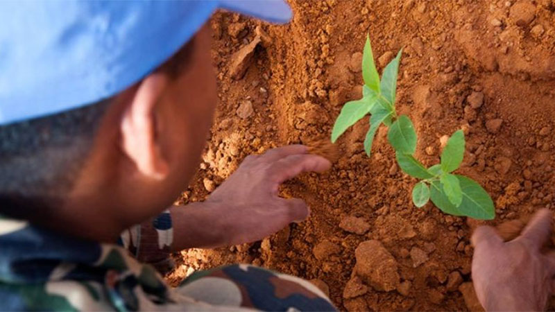 युद्ध र सशस्त्र द्वन्द्वमा वातावरणको दुरुपयोग रोक्ने अन्तरराष्ट्रिय दिवस मनाइँदै